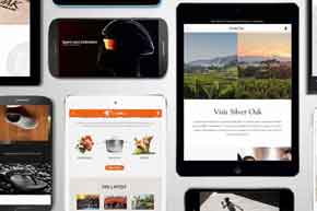 octiv logo design work